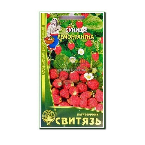 Насіння суниця ремонтантна "Барон Солемахер", 0,1г