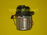 Насос циркуляційний KDP-CT4W0525 30000450B (NAPU9GLPCT36, 30000469A) Navien Ace ATMO 13-24kw, TURBO 13-40kw, TURBO Coaxial, Deluxe, фото 5