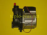 Насос циркуляційний KDP-CT4W0525 30000450B (NAPU9GLPCT36, 30000469A) Navien Ace ATMO 13-24kw, TURBO 13-40kw, TURBO Coaxial, Deluxe, фото 6