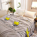 Плед  мікрофібра 160*220  "Велсофт"  ALM1915, фото 6