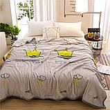 Плед  мікрофібра 160*220  "Велсофт"  ALM1915, фото 7