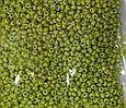 Бісер Preciosa 10/0 колір 53430 оливковий 5г, фото 2