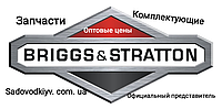 Запчасти Briggs & Stratton на двигателя культиватора/мотоблока/генераторов (Оптовые цены)