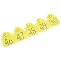 Вушна Бірка 50*43мм СТАНДАРТ номерна №1-50 (50 шт) MS SCHIPERS