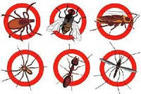 Засоби від комах (таргани, комарі, кліщі, жуки, мурашки, павуки)