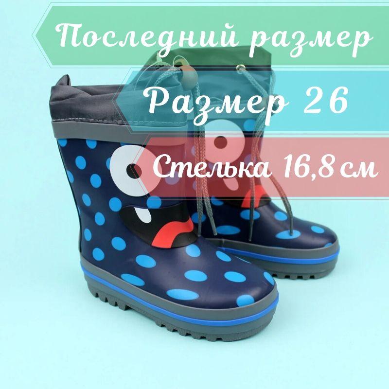 Гумові дитячі чобітки для хлопчика тм Bi&Ki розмір 26,27 - фото 1 - id-p154374268