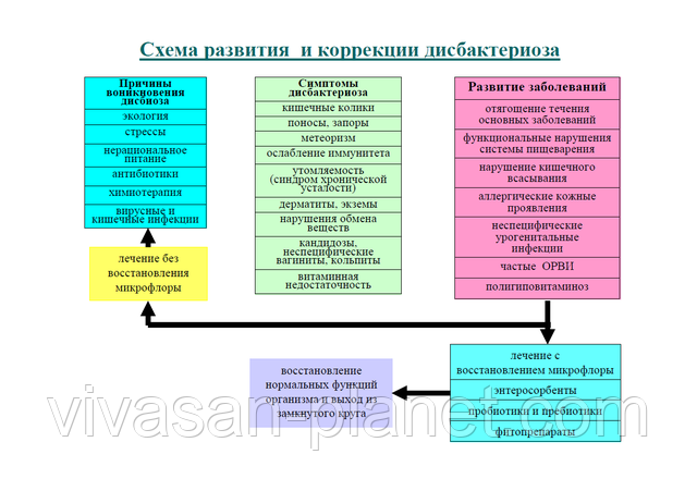 Схема розвитку і корекції дисбактеріозу