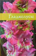 Гладіолуси. Ботанічний сад. Беднова Е.