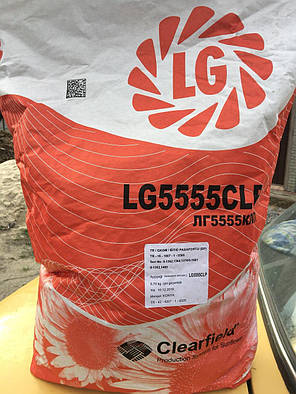 ЛГ 5555 Limagrain Насіння соняшника Лімаґейн 5555 стійкий 7рас під Євро Лайтінг, фото 4