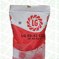 LG 5542 Limagrain Семена подсолнечника Лимагрейн ЛГ 5542