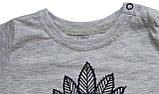 Костюм літній дитячий для хлопчиків, футболка і шорти, сірий з енотом, ріст 80 см, Фламінго, фото 4