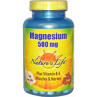 Nature's Life, Magnesium (Магній), 500 мг, 100 капсул