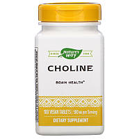 Nature's Way, Холин для здоровья нервной системы Choline, 500 mg, 100 Веган капсул