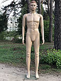 Чоловічий тілесний манекен Люкс у повний зріст із макіяжем зачіскою, фото 2