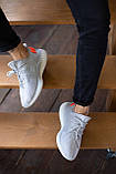 Кросівки чоловічі Adidas yeezy boost 350V2 tail light  Топ якість Київ, фото 6