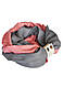 Кашеміровий шарф "Мілан", шарф снуд, шарф бактус, зимовий жіночий шарф, великий жіночий шарф, фото 2