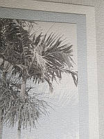 Обои виниловые на флизелине Marburg 82207 Giulia пальмы деревья ветки листья серые голубые на белом