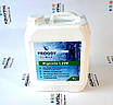 Froggy «Algicide L220», Альгіцид проти водоростей (каністра 5 л), фото 7