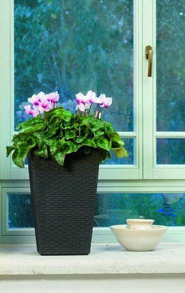 Горщик для рослин Keter Rattan Planter S (small) 23,6 л, фото 3