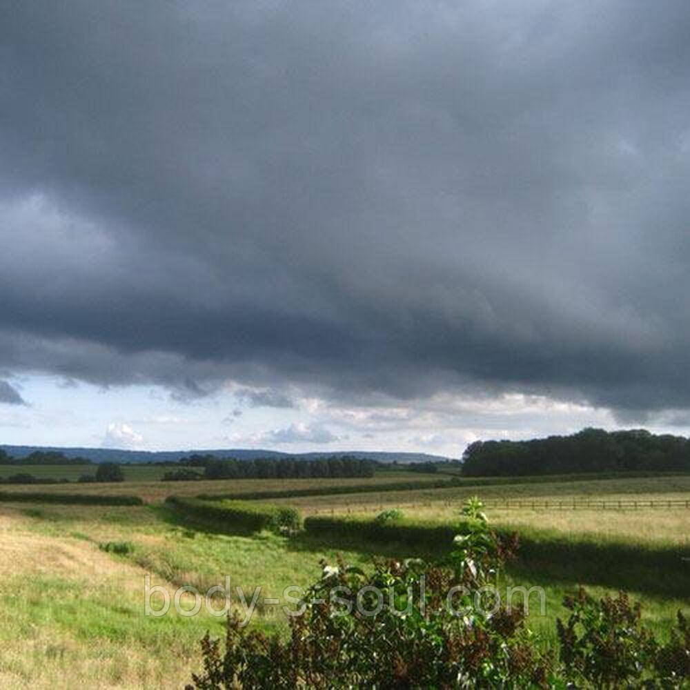 Косметична віддушка Kentish Rain №27, про-ль США (Brambleberry), ваніль 0%