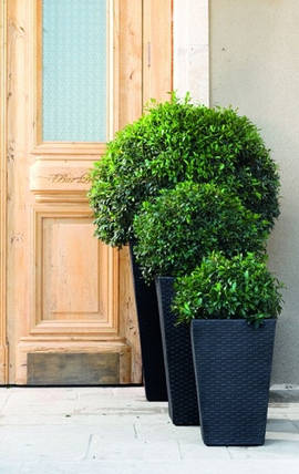 Горщик для рослин Keter Medium Rattan Planter сірий, фото 3