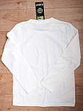 Футболка-реглан утеплена дитяча бавовна Угорщина 158 р, фото 4