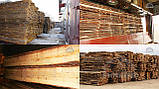 Дошка соснова суха необрізна будівельна та столярна, фото 2