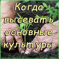 Періоди та строки висаджування!