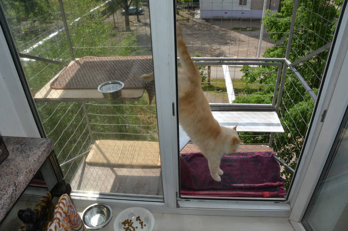 Съемный вольер на окно / кошачий балкончик