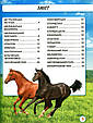 Світ навколо нас. Коні, фото 3