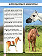 Світ навколо нас. Коні, фото 6