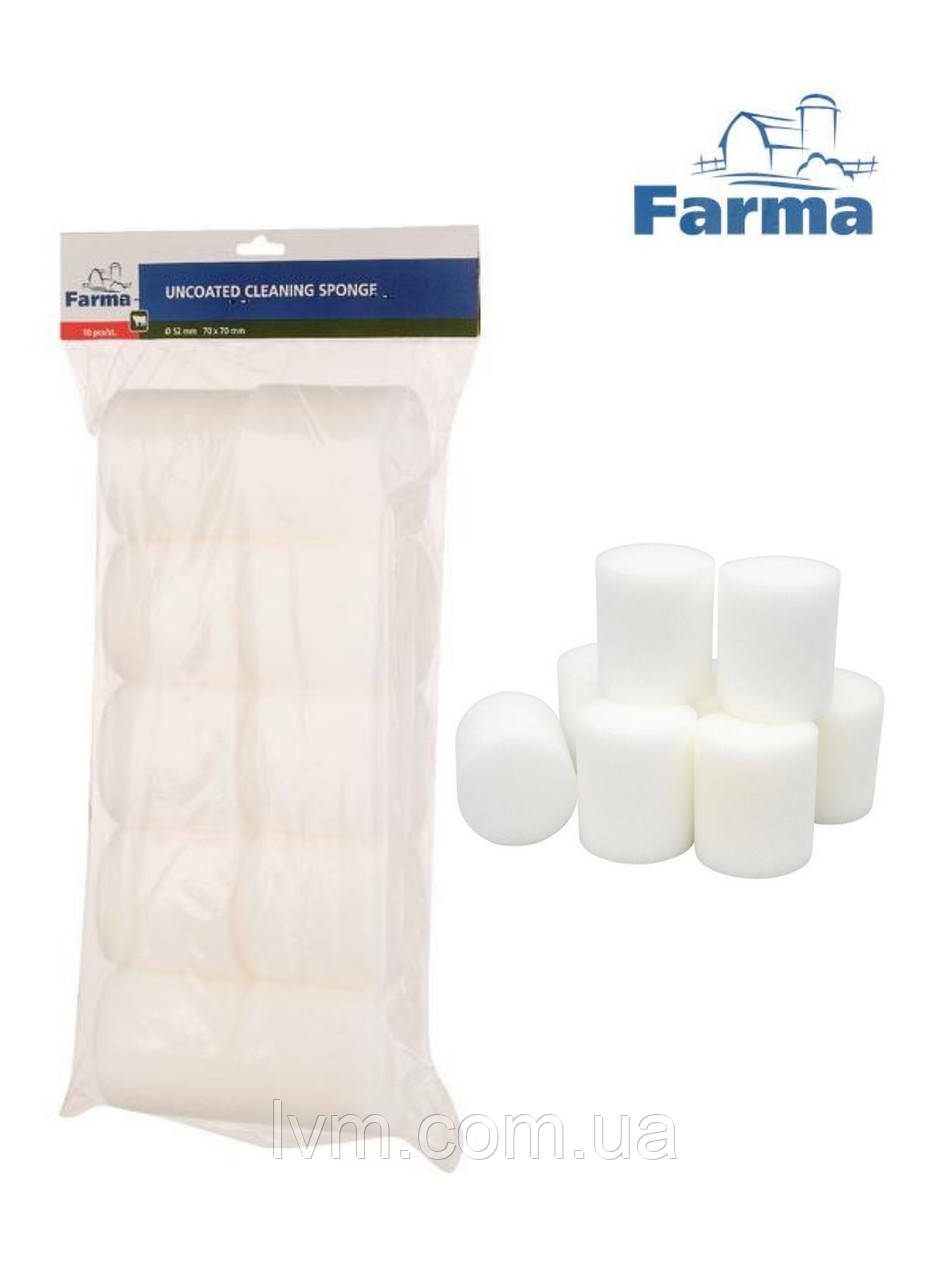 Пижі губки для труб 60*70мм 10шт, для миття трубопроводів