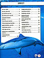 Світ навколо нас. Акули, фото 3