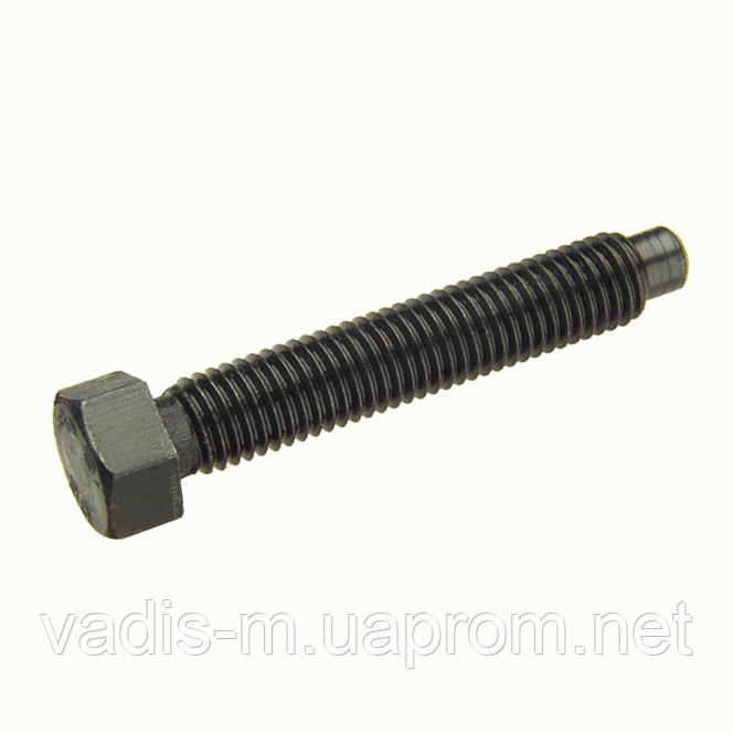 Болт(Винт) ГОСТ 1481-84 С Небольшой Шестигр.Головкой И Цапфой Оц.