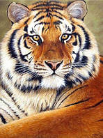 Алмазная вышивка тигр 20х30 см, полная выкладка, квадратные стразы