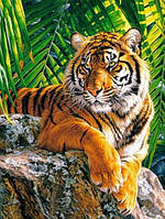 Алмазная вышивка тигр на одыхе 20х30 см, полная выкладка, квадратные стразы
