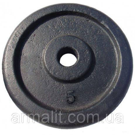 Гантельний диск 5кг: продаж, ціна у Києві. Гантелі, гирі, штанги та ...