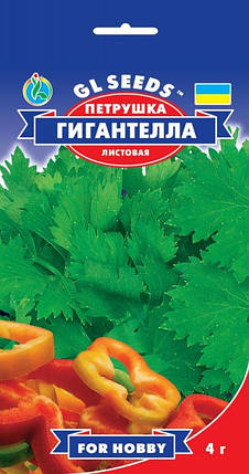 Насіння петрушка Гигантелла 4 м, GL Seeds, фото 2
