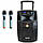 Акустична система TEMEISHENG 2mic+BT+USB SL1001, фото 3
