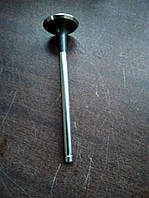 Клапан выпускной, 1.8D2.0D - Нубира Лачети, Такума, Эванда 90410813 (Genuine)