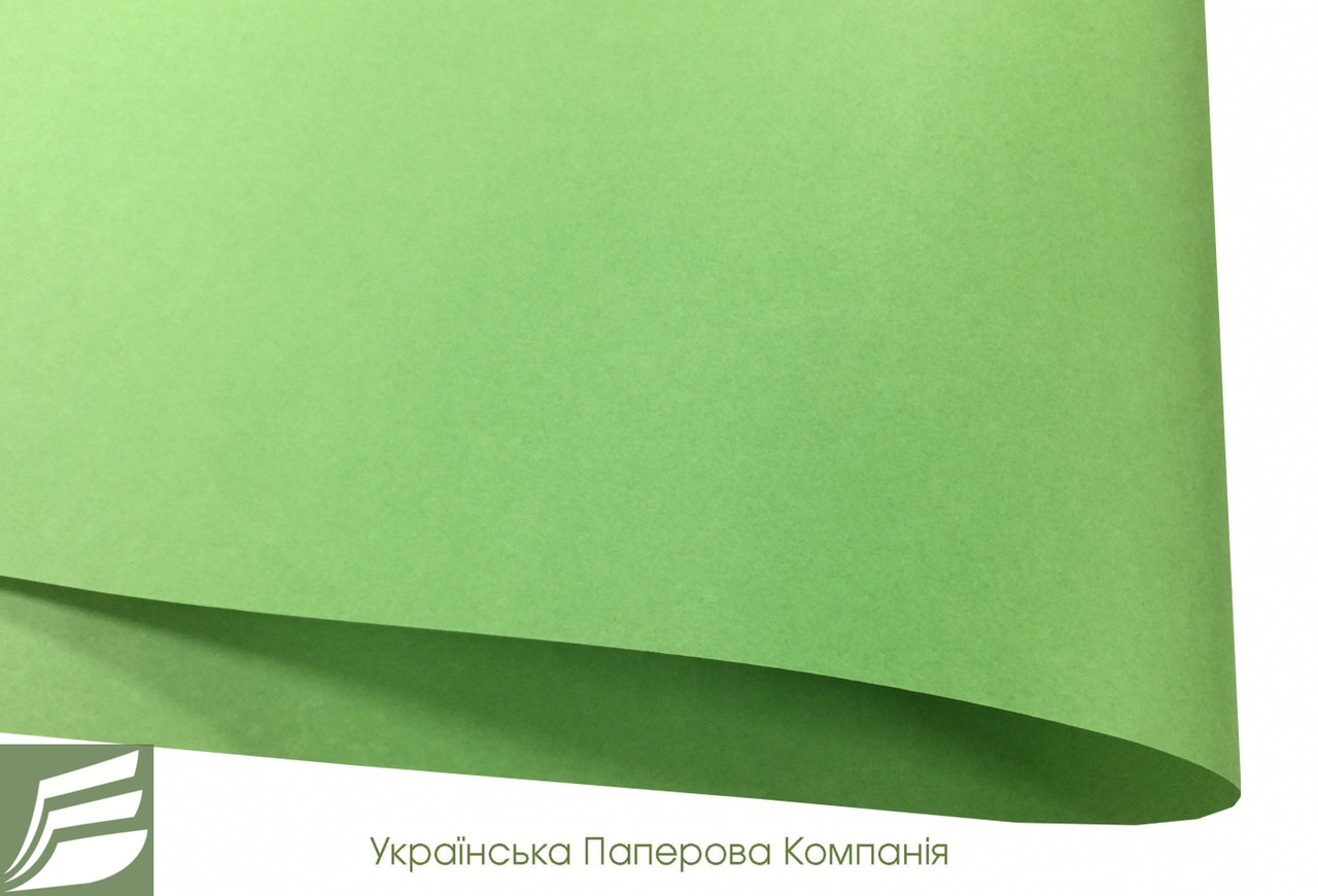 Дизайнерская бумага Hyacinth Inspiration светло зеленя, 110 гр/м2, фото 1