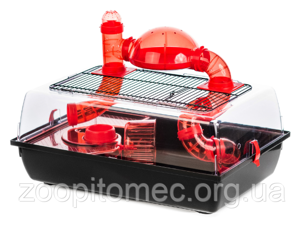 Клітка для хом'яків ALEX + TERRACE INTER ZOO (Інтер Зоо) + тераса, 58*38*40 см, фото 1