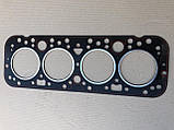 Д65-02-С12-В Прокладка головки блока Д-65 (ЮМЗ) з герметиком, фото 2