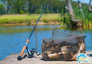 Коропові садки