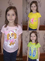 Влада, 5 років