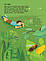 Книги для дітей молодшого шкільного віку. Усе про бджіл... і не тільки.Жак Гішар, Кароль Ксенар, фото 4