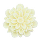 Кабошони акрилові "Айстра" 23 мм, 2 шт. у наборі, фото 4