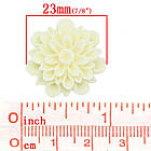 Кабошони акрилові "Айстра" 23 мм, 2 шт. у наборі, фото 3