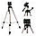 Штатив для телефона та фотоапарата Tripod 330A Тринога, Трипод, фото 2