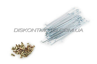 Спиця колеса Delta (36 шт., Ø4*h-160 mm) MANLE